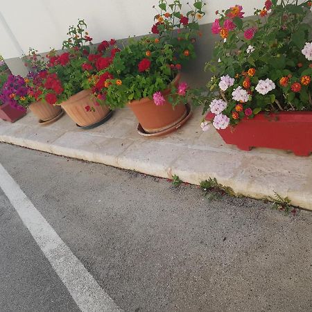 Vila Trullo Chiancola Antica Alberobello Exteriér fotografie